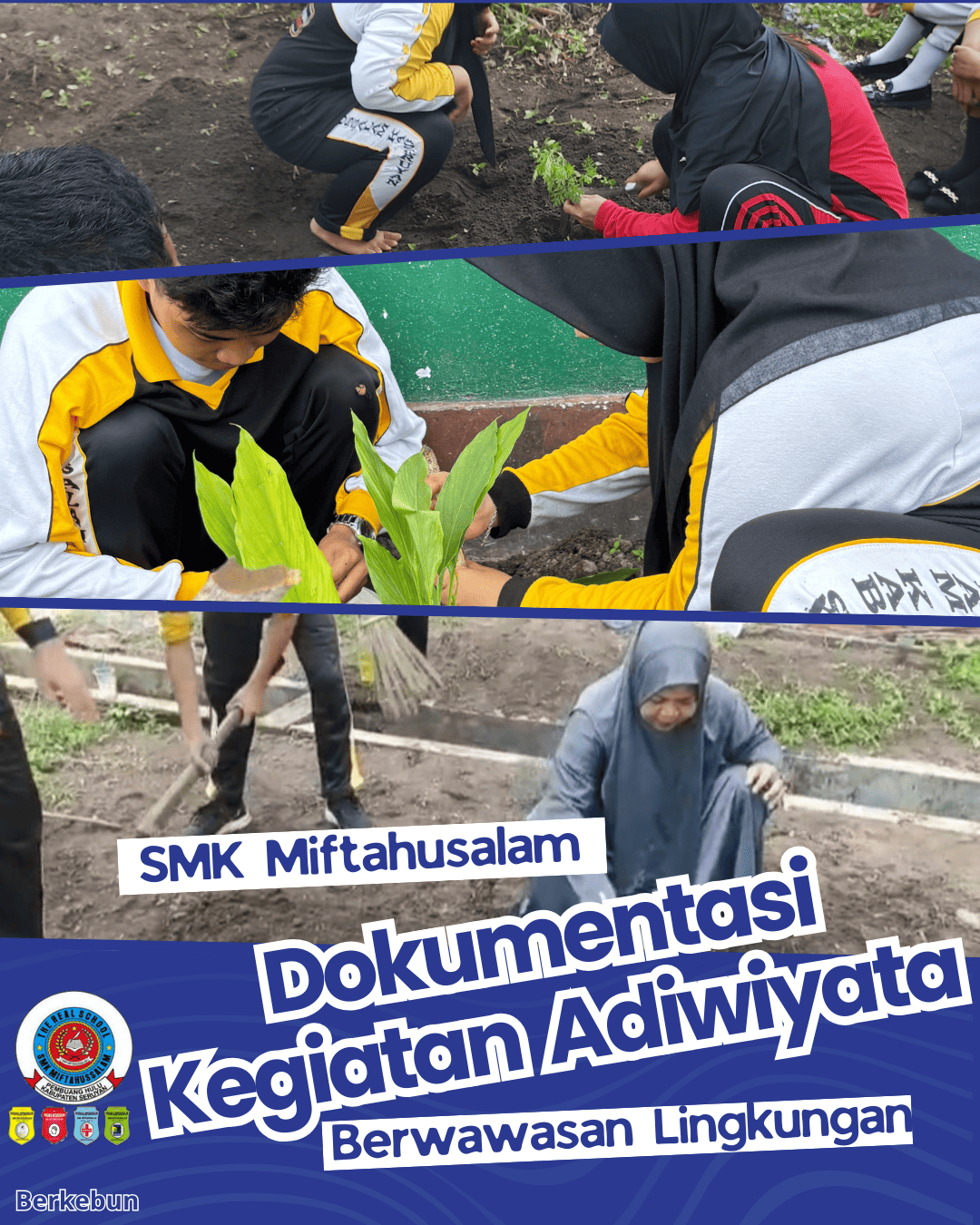 Berkebun di Halaman Sekolah